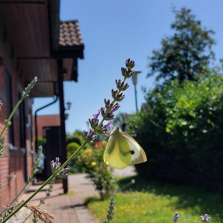 Ferienhaus Sasse Ferienwohnungen Mit Garten & Grill Molschow Exterior foto